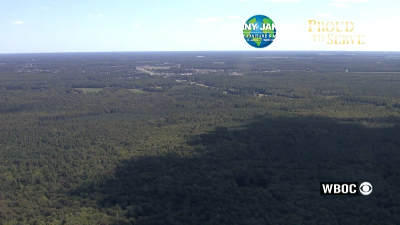 Proud to Serve: Redden State Forest